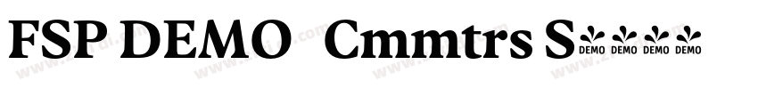 FSP DEMO   Cmmtrs S字体转换